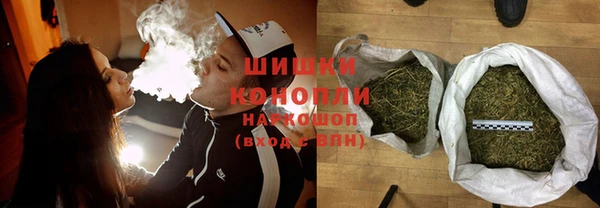 хмурый Гусь-Хрустальный