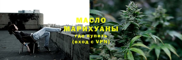хмурый Гусь-Хрустальный