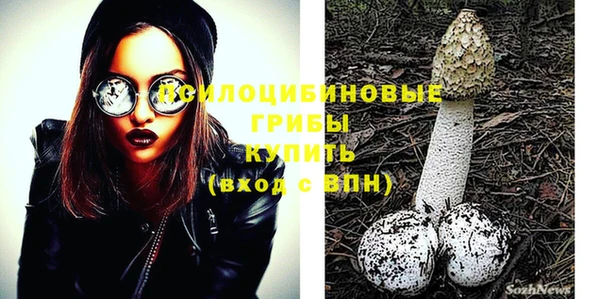 хмурый Гусь-Хрустальный