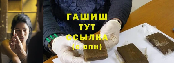 хмурый Гусь-Хрустальный