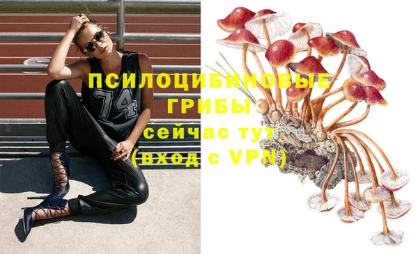 скорость mdpv Гусиноозёрск