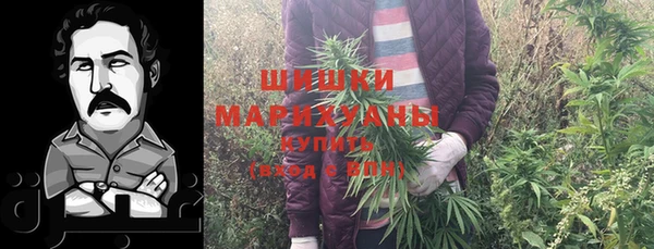 экстази Гусев