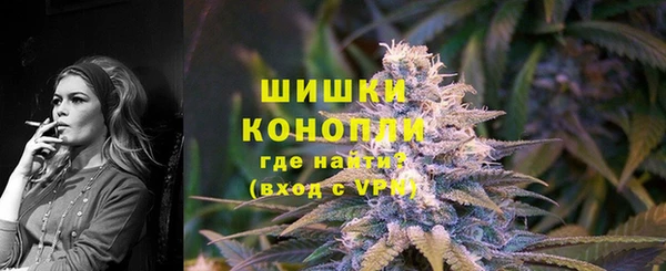 хмурый Гусь-Хрустальный