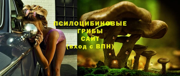 экстази Гусев