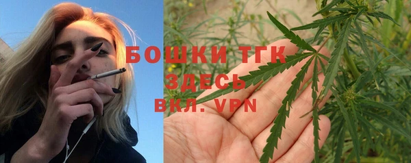 экстази Гусев