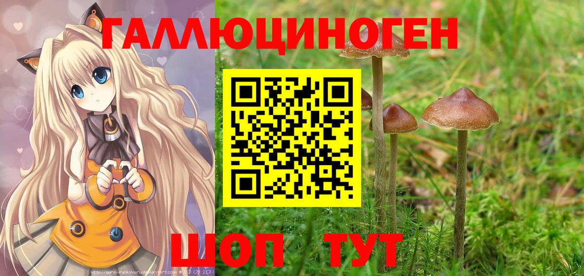 Галлюциногенные грибы Psilocybe Москва