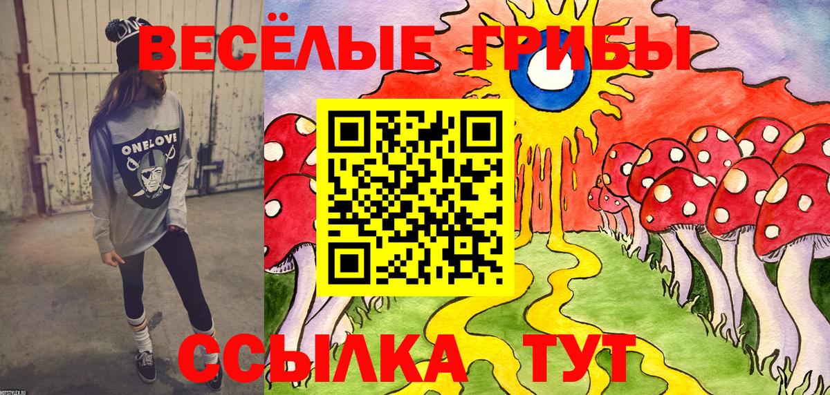 Псилоцибиновые грибы MAGIC MUSHROOMS  Вход с VPN  Москва 